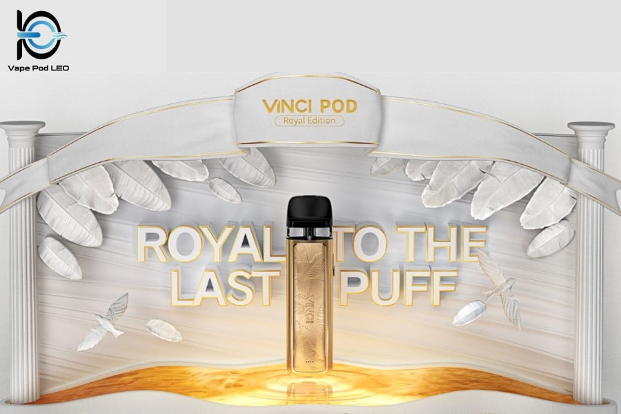 Vinci